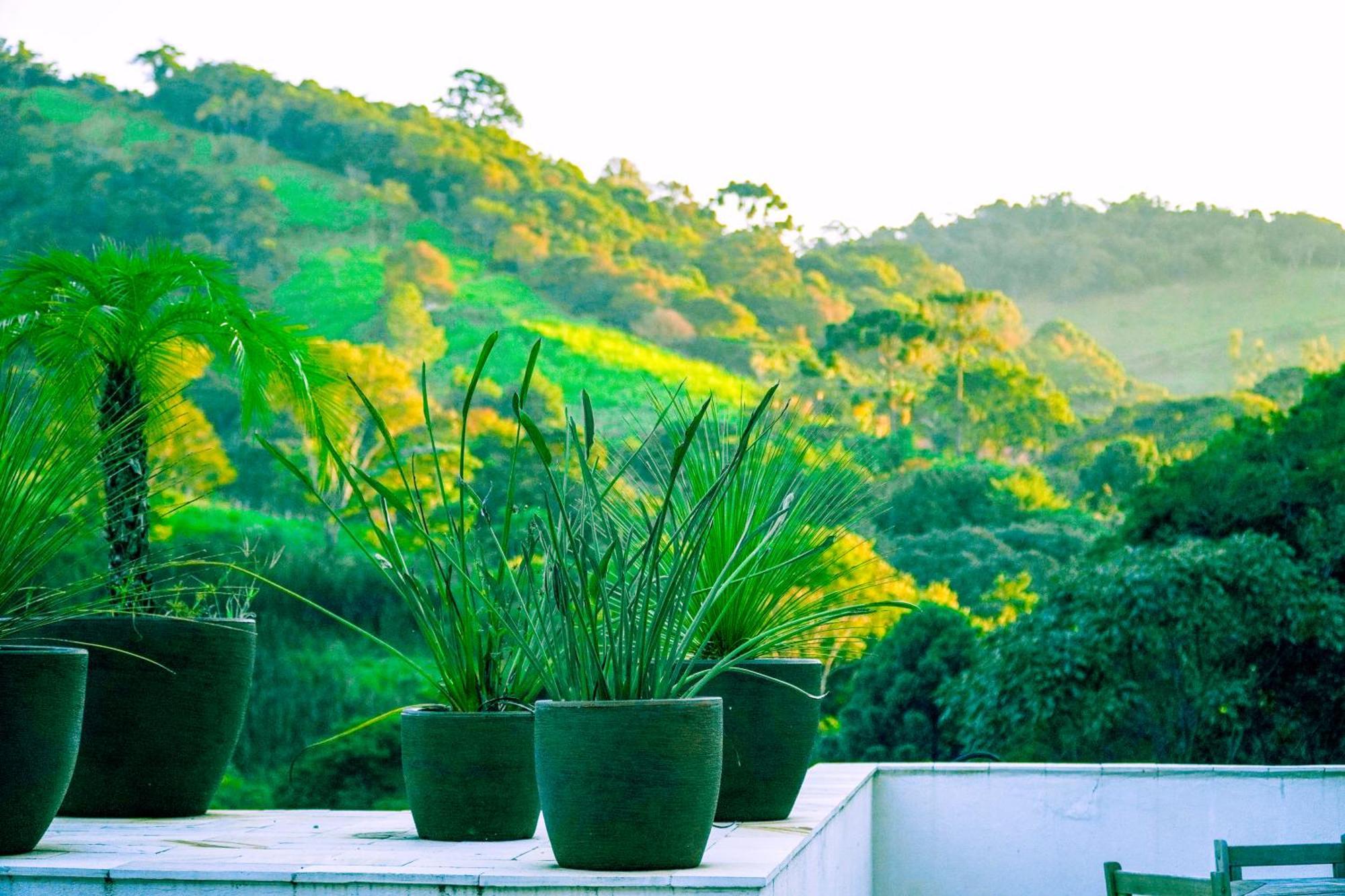 Pousada Highland Santo Antônio do Pinhal Extérieur photo
